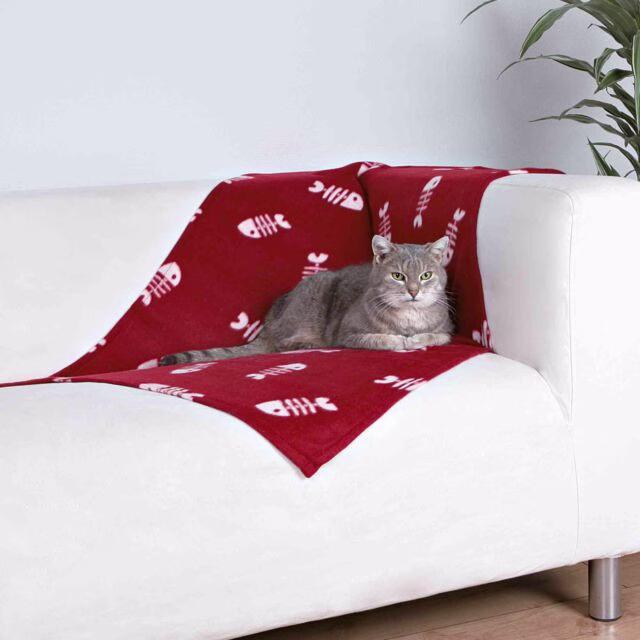 originals_PHO_PRO_CAT_PHO_PRO_CAT_37193-1_#SALL_#AWK_#V1.jpeg