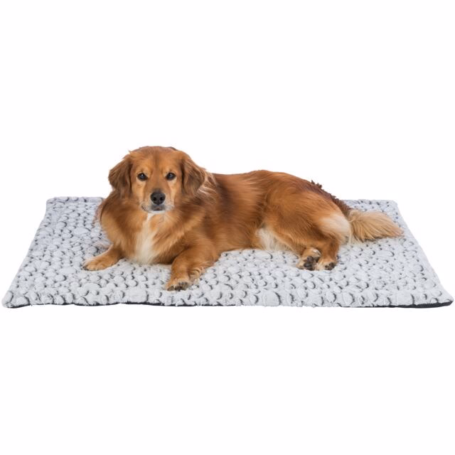 originals_PHO_PRO_DOG_CLIP_PHO_PRO_DOG_CLIP_38989-1_#SALL_#AWK_#V1.jpeg
