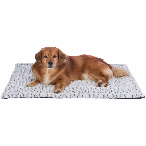 originals_PHO_PRO_DOG_CLIP_PHO_PRO_DOG_CLIP_38989-1_#SALL_#AWK_#V1.jpeg