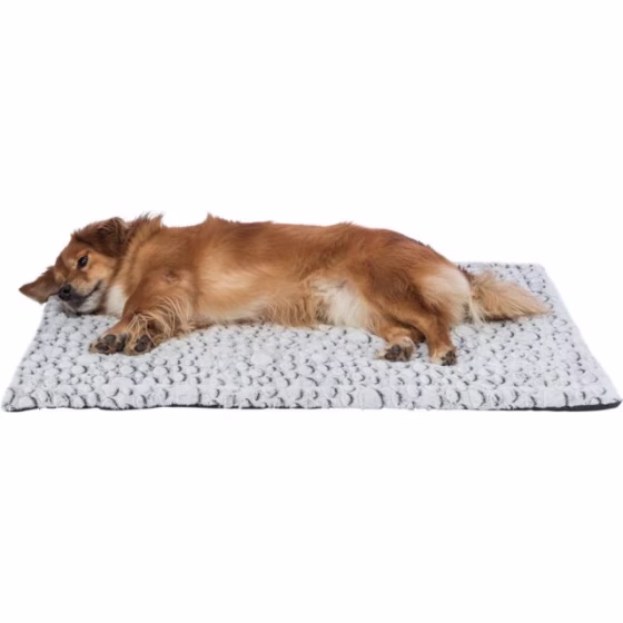 originals_PHO_PRO_DOG_CLIP_PHO_PRO_DOG_CLIP_38989-1_#SALL_#AWK_#V1.jpeg