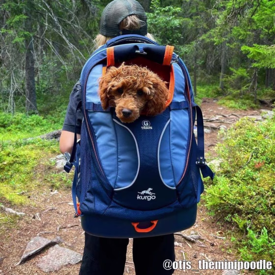 kurgo-g-train-dog-carrier-backpack-13934_940x.jpg