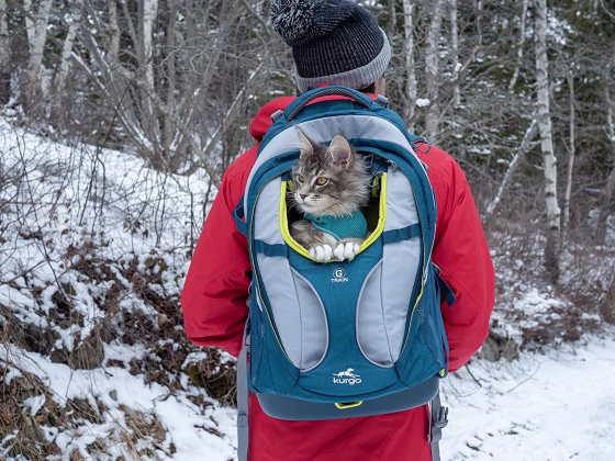 kurgo-g-train-dog-carrier-backpack-12323_940x.jpg