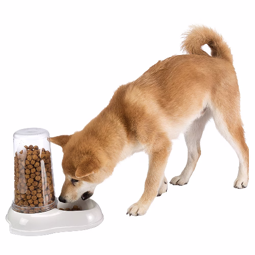beagle 1.png