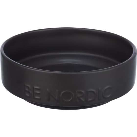 beagle 2.png