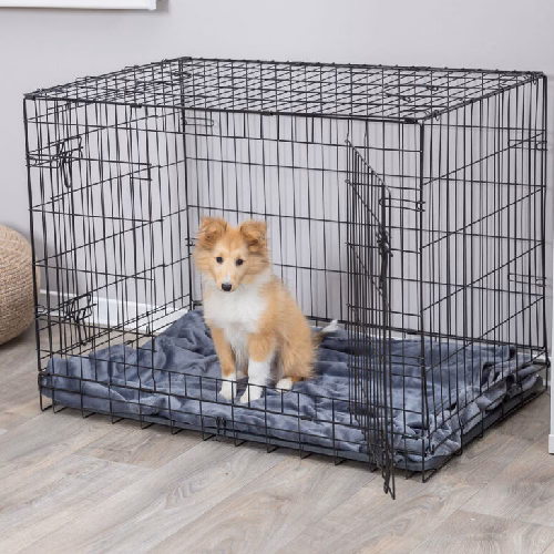 beagle 1.png