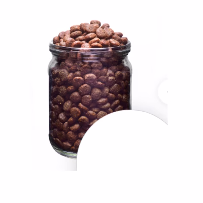 beagle 5.png