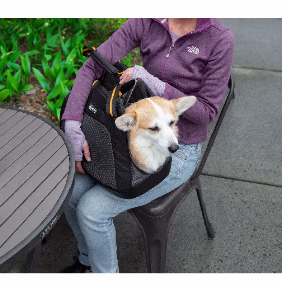 beagle 3.png