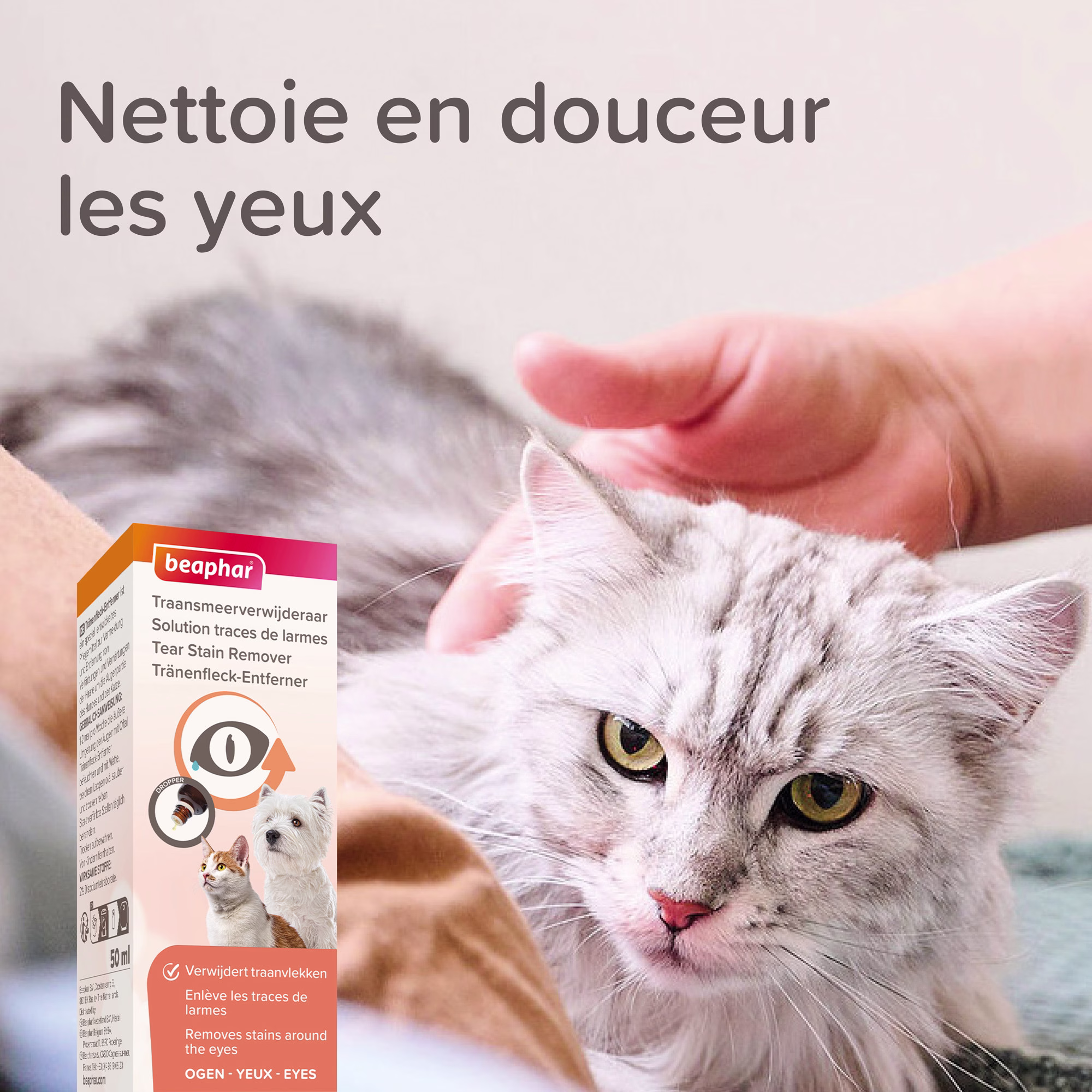 Sans titre (4).png