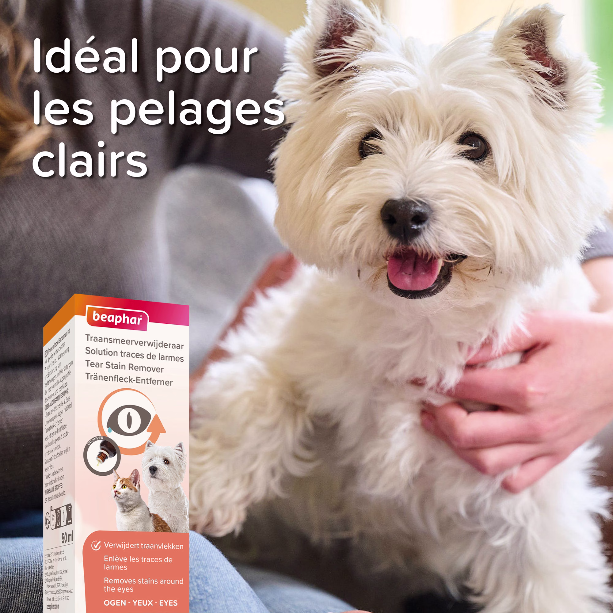 Sans titre (4).png