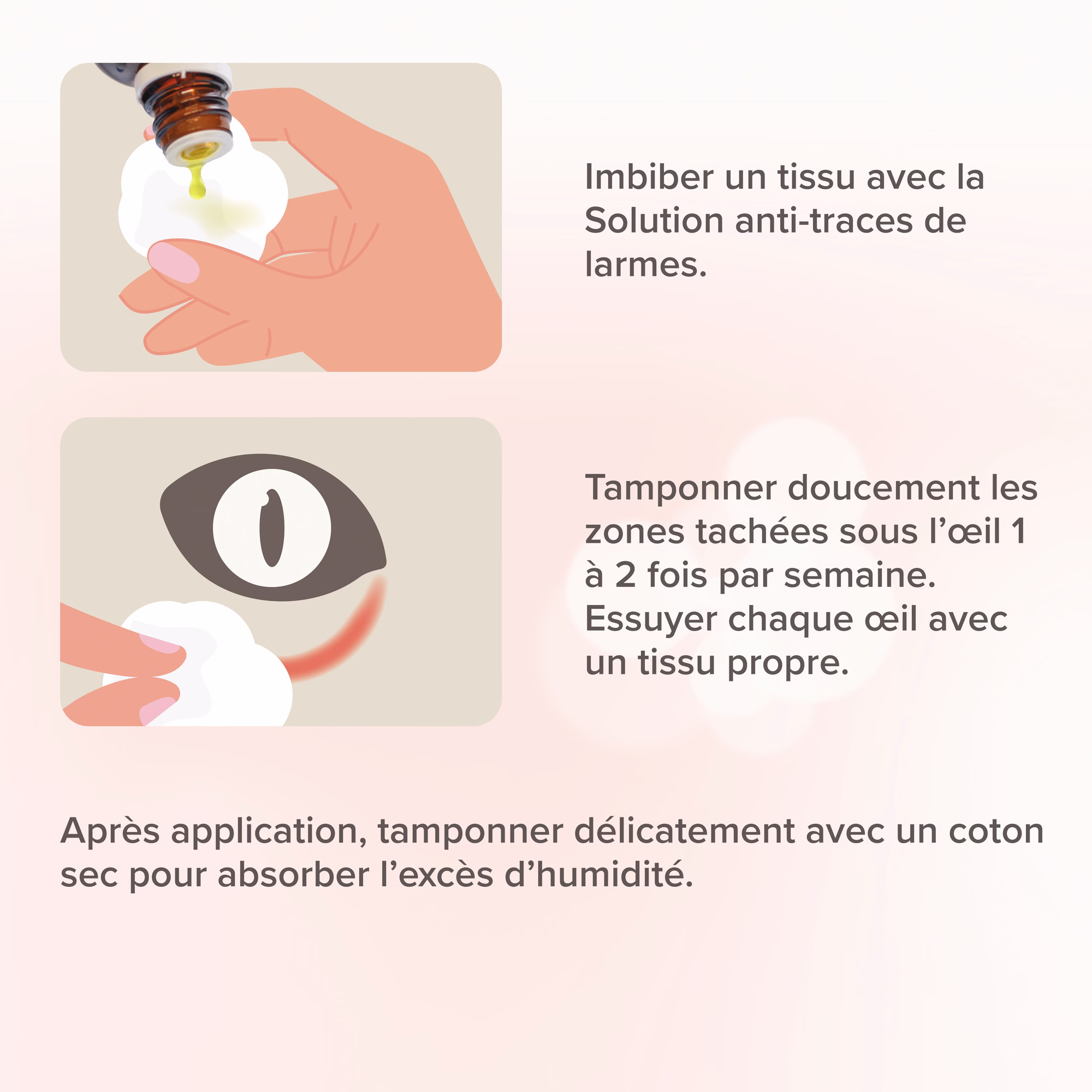 Sans titre (4).png