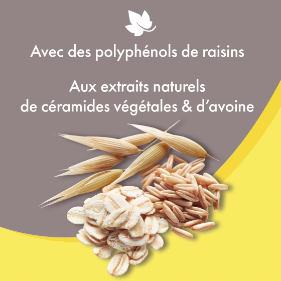 Sans titre-6.png