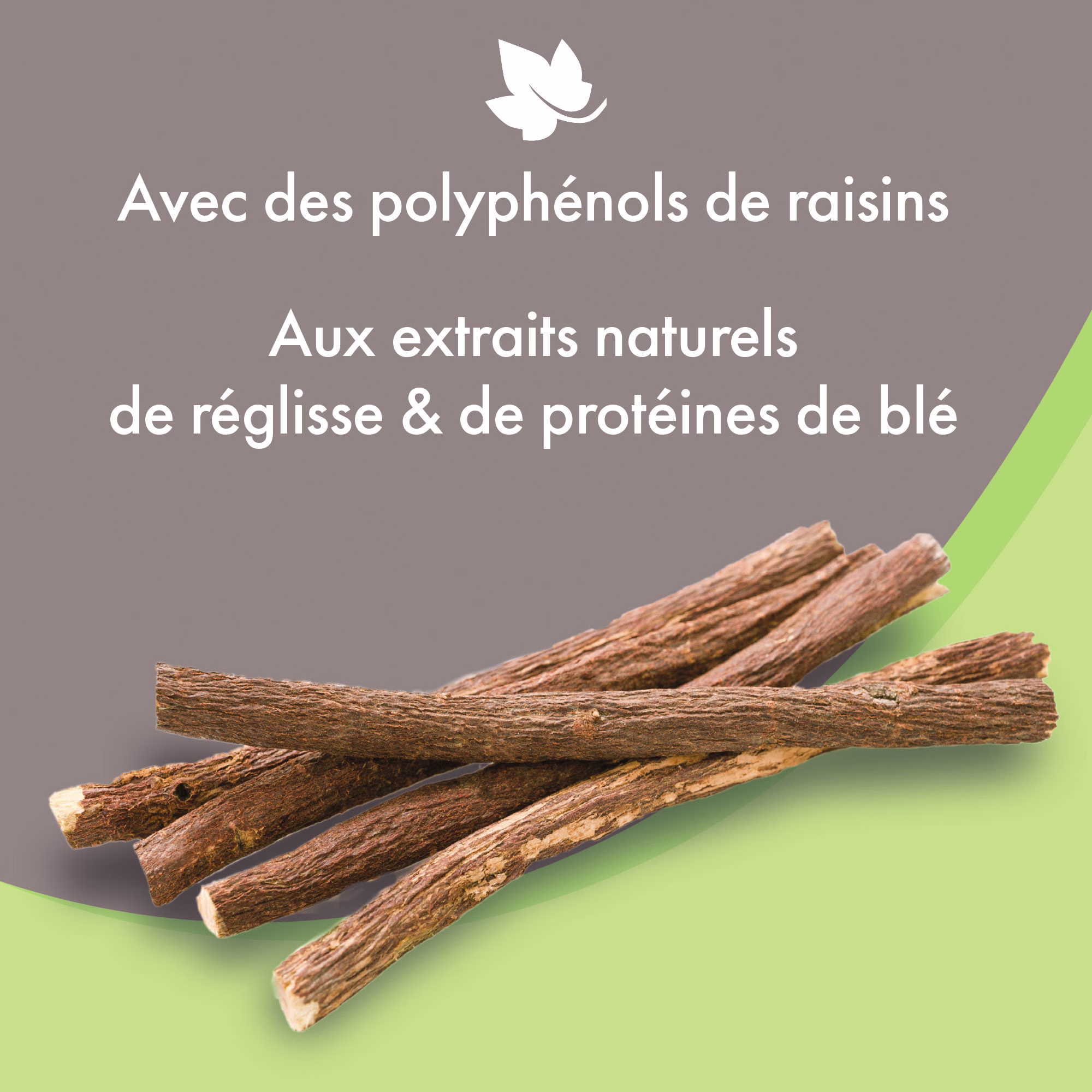 Sans titre-1.png