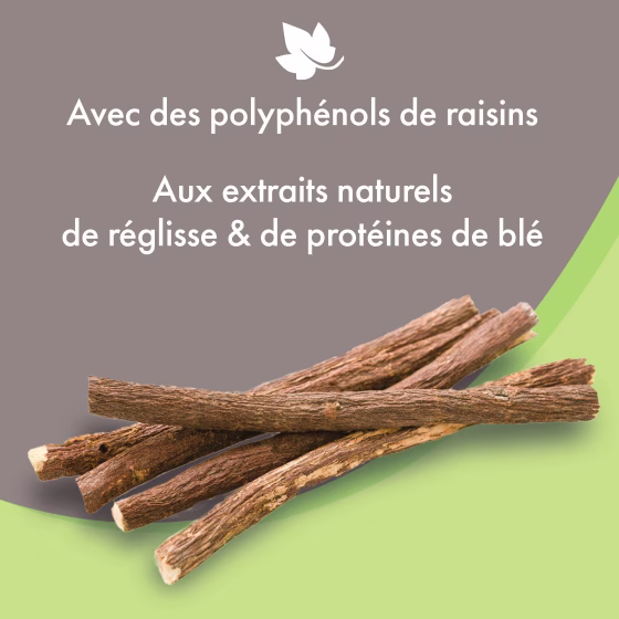 Sans titre-1.png