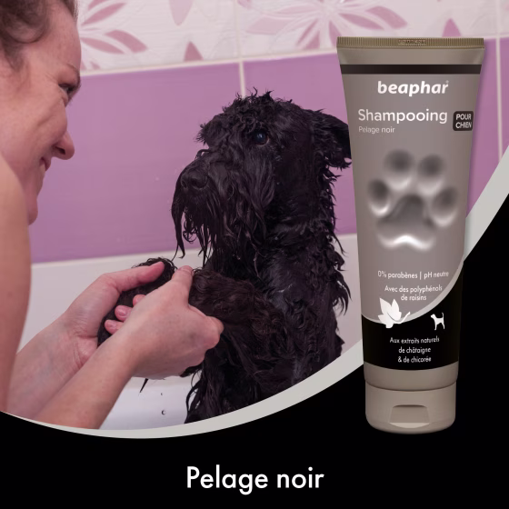 Sans titre-3.png