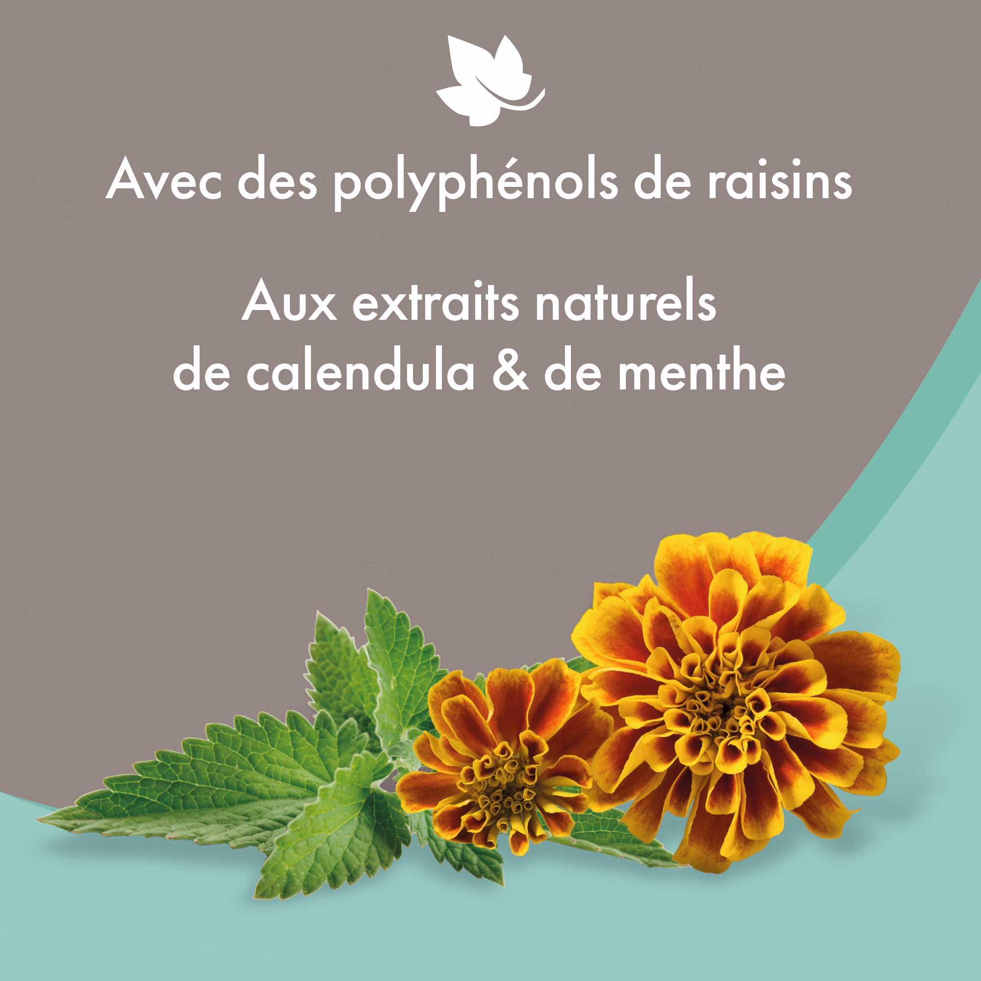 Sans titre-7.png