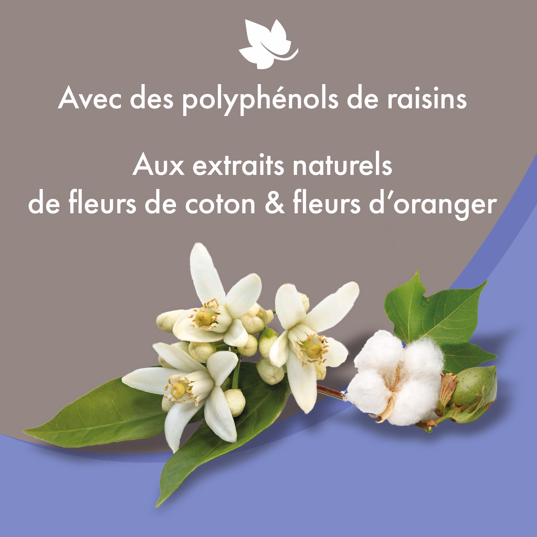 Sans titre-1.png