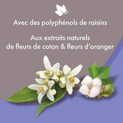 Sans titre-1.png