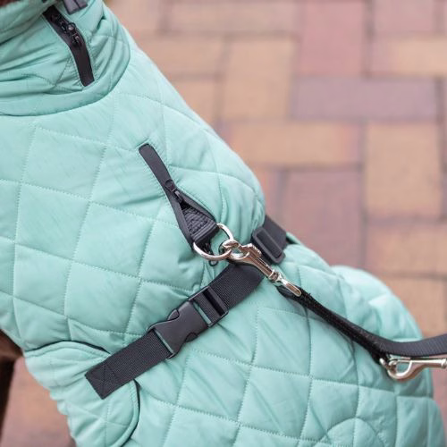 Manteau hiver pour chien : Polaire, petit, grand chien Oslo Jade