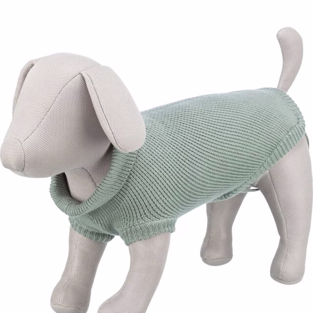 Meilleur Pull pour chien : Berlin Sauge