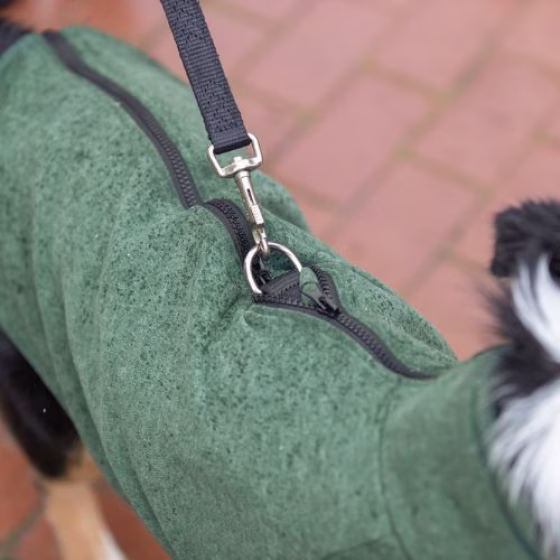 Sweat pour chien : Intérieur chauffant, Confort, Amsterdam
