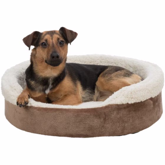 PHO_PRO_DOG_CLIP_37051-2_#SALL_#AWK_#V1.jpg