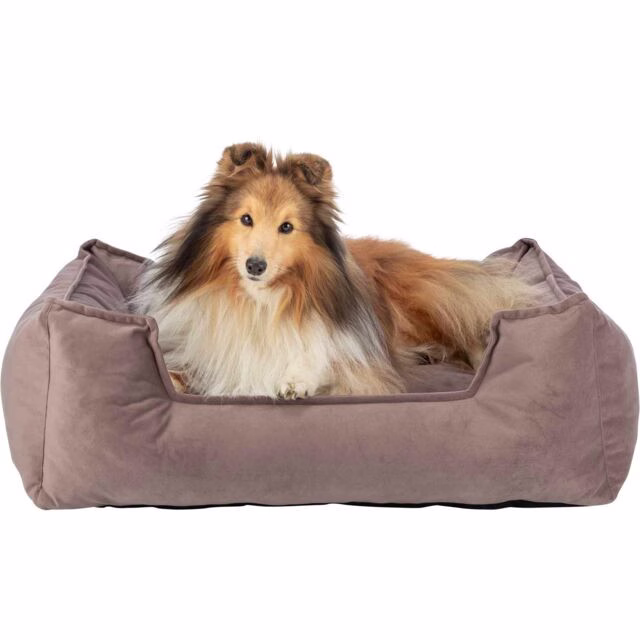 Panier petit, gros chien, déhoussable, XXL, luxe Edition Brun