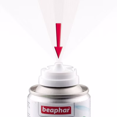 spray parquet (3).png