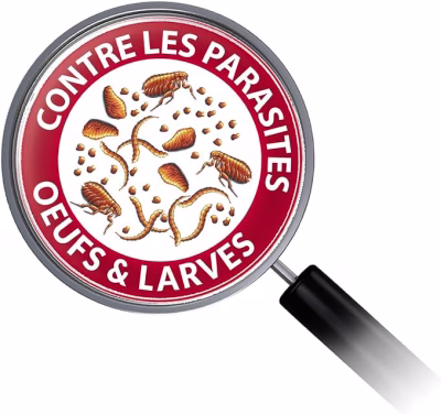 spray parquet (3).png