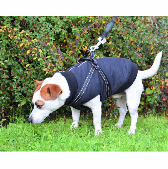 Manteau harnais intégré confortable, doudoune chien Easy