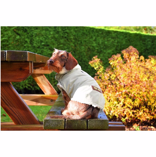 Doudoune parka imperméable pour chien VERT