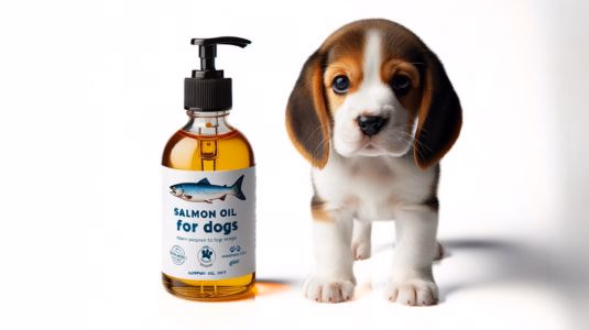 Secret de fabrication de l'huile de saumon pour chien