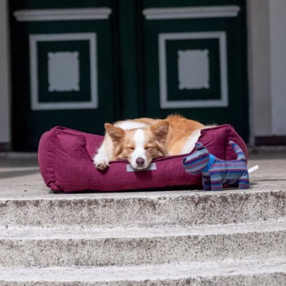 Panier, Lit petit et gros chien XXL, couchage Talis Baie