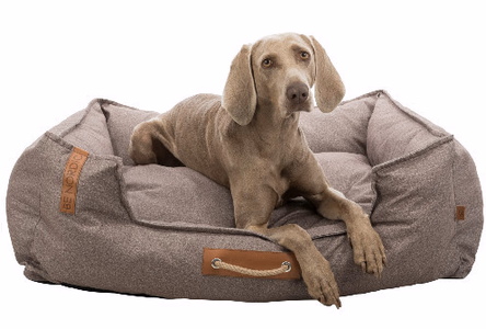 Les critères pour choisir le meilleur panier pour un grand chien