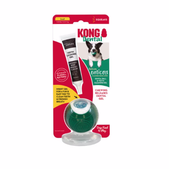 Kit KONG dental balle