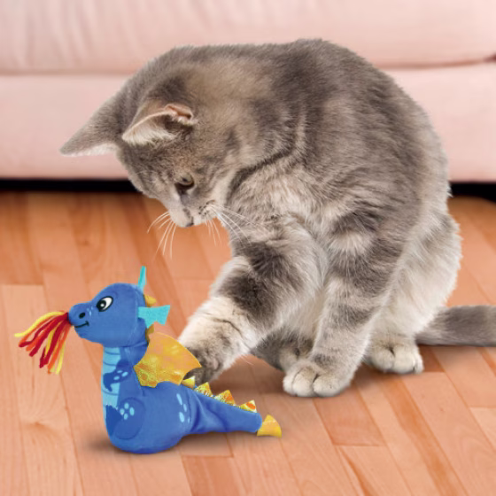 Jouet KONG chat enchanted dragon