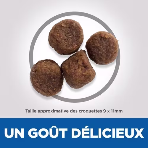 Croquette Canine Puppy Medium Agneau & Riz