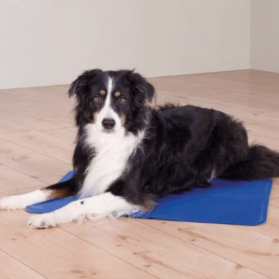 Tapis rafraîchissant chien : gel frais ! à partir de 5.99 € bleu Trixie
