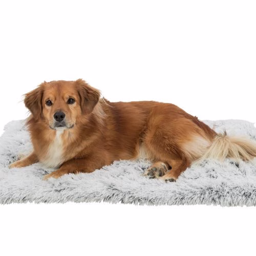 Coussin Apaisant pour chat et chien Harvey