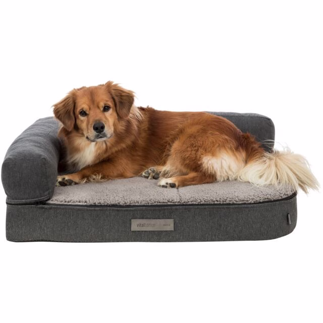 Canapé Orthopédique chien : Vital Bendson