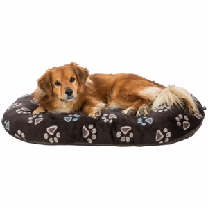 Comment choisir un coussin pour chien ?