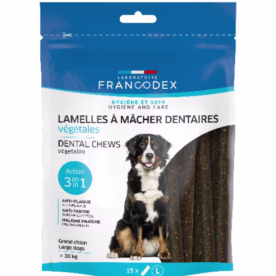 Lamelle à mâcher dentaire