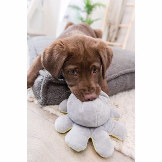 Jouet peluche réversible, Pieuvre doudou chiot