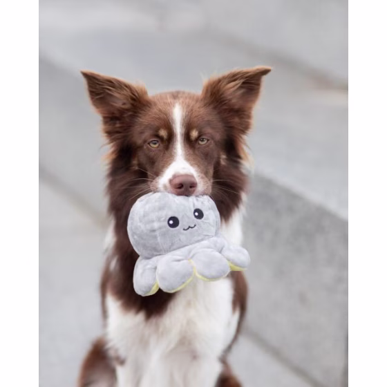 Jouet peluche réversible, Pieuvre doudou chiot
