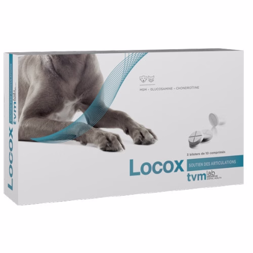 Locox