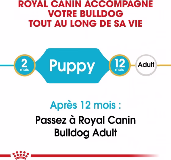 Royal Canin Croquettes Bouledogue Anglais puppy