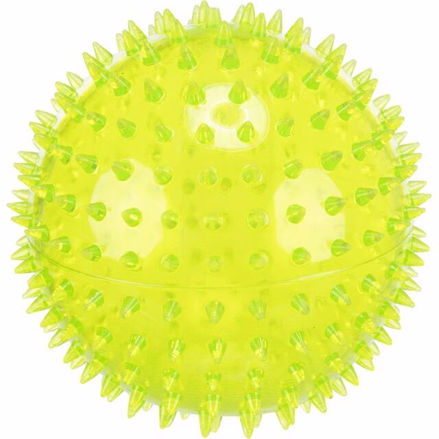 Photo 2.jpg
