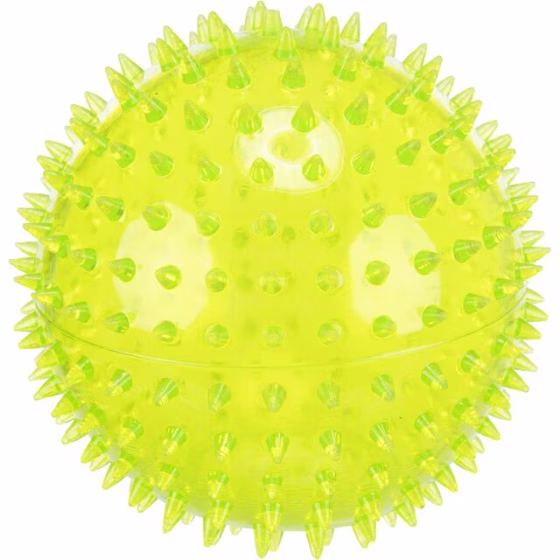 Photo 2.jpg