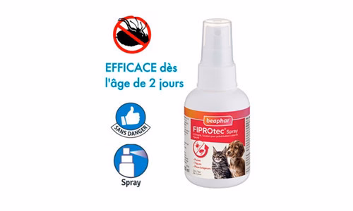 Conseil d’achat : Spray pour éliminer les puces sur le chat