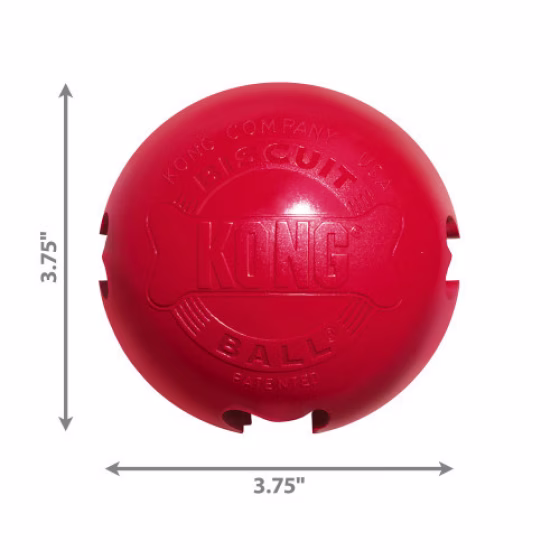 Jouet KONG Ball Gourmand