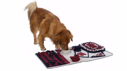 Les jeux d'intelligence : casse-tête pour chien, tapis de fouille